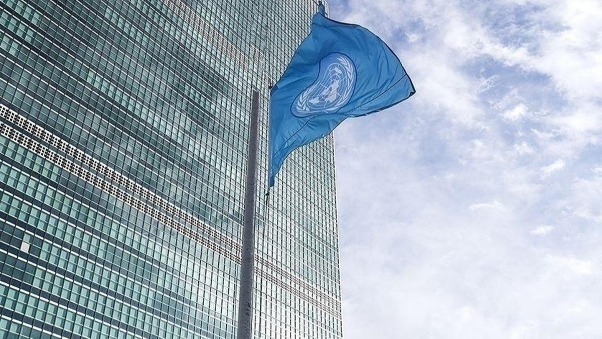 BM ve rdn, Filistin meselesi ile Suriye krizini ele ald