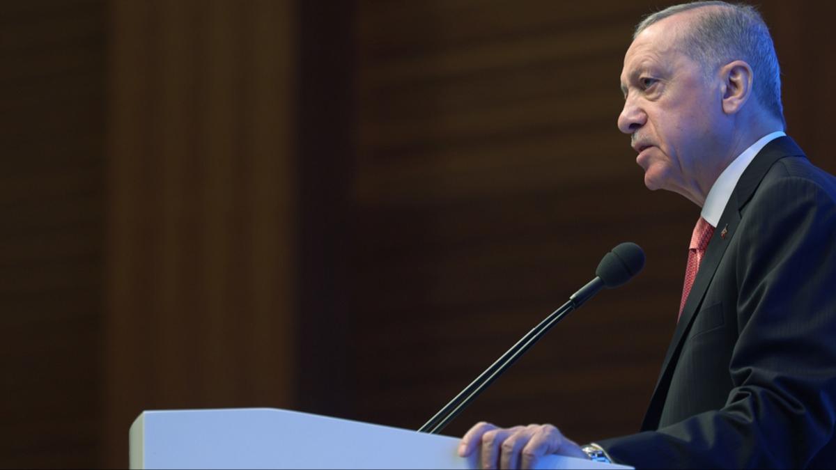 Cumhurbakan Erdoan'dan 'yeni anayasa' mesaj: Seimden sonra gndeme tayacaz