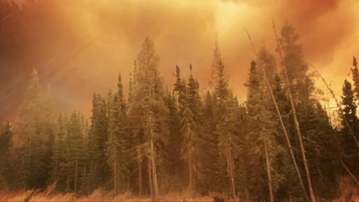Kanada'da orman yangnlarndan ykselen dumanlar ABD'ye ulat