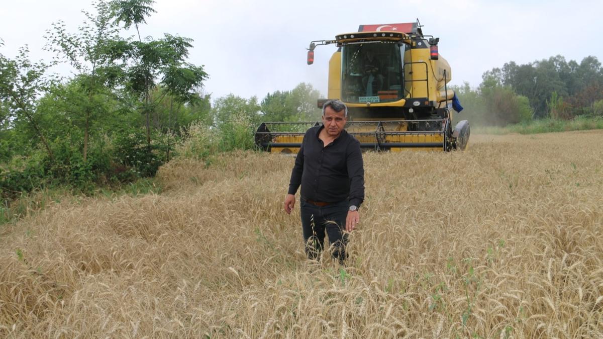 Adana'da yln ilk buday hasad balad