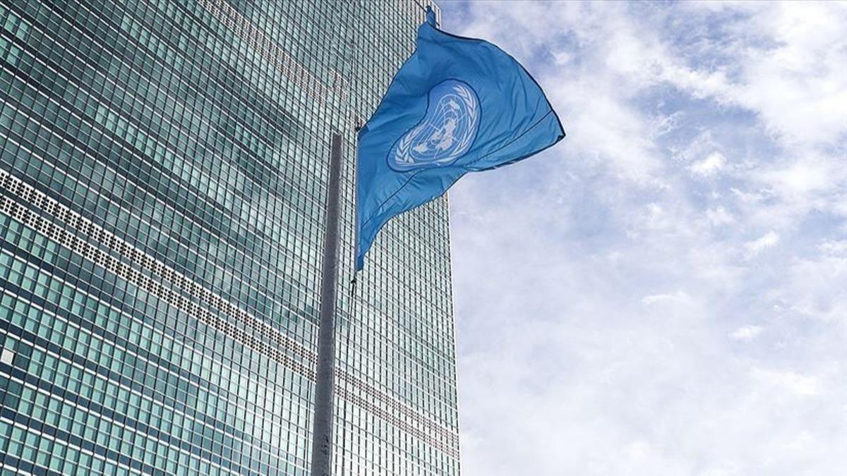 BM'nin Mali misyonunun akbetine Gvenlik Konseyi karar verecek 