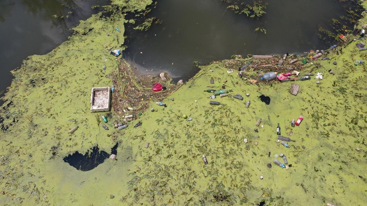 Tunca Nehri'ne atlan pler kirlilie neden oldu
