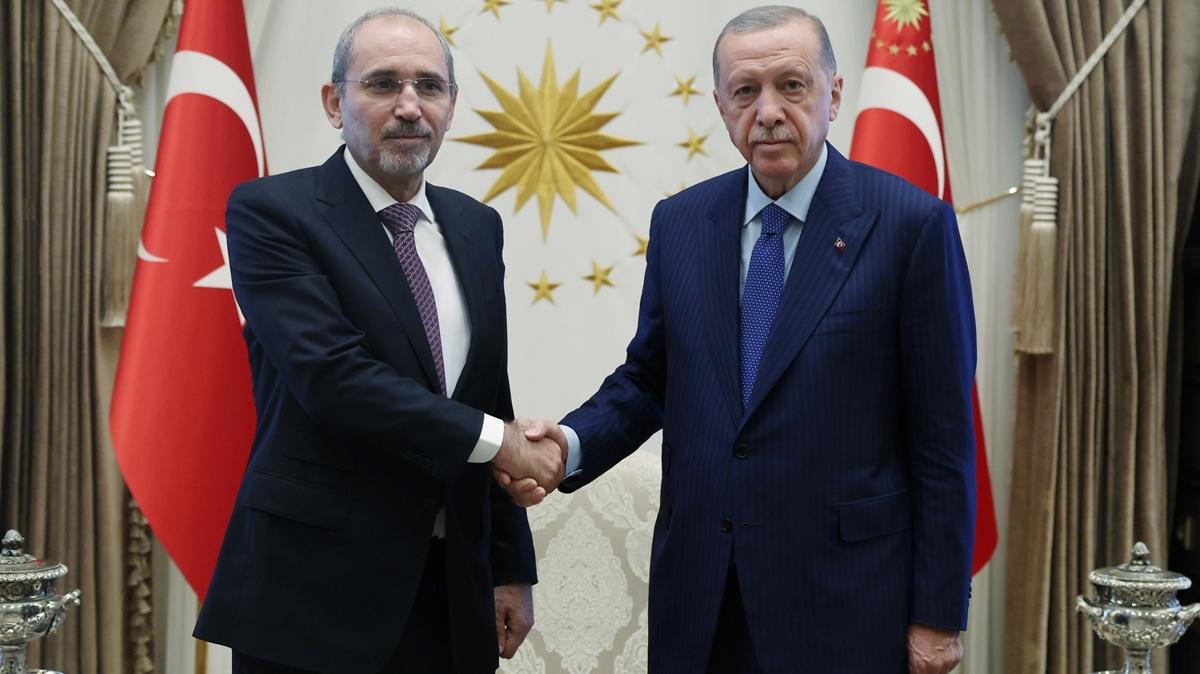 Cumhurbakan Erdoan, Safadi'yi kabul etti