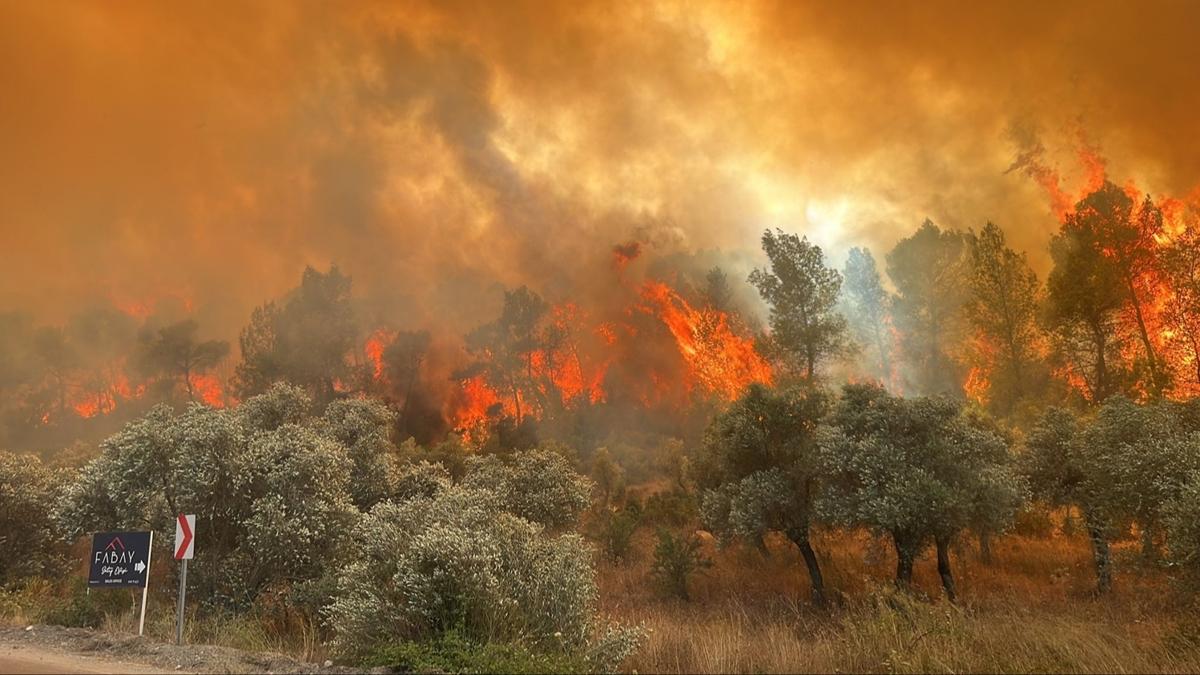 Mula'da ormanlk alanda kan yangn kontrol altna alnd