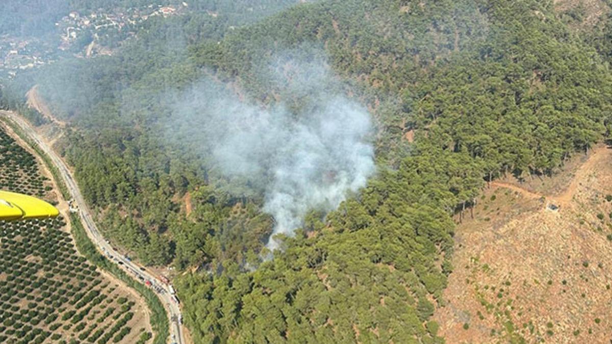 Mula'da orman yangn: Havadan ve karadan mdahale balad