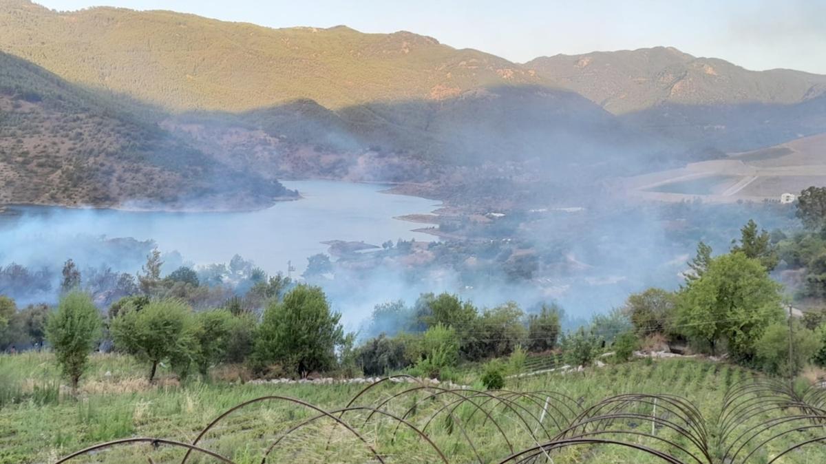 Mersin'de tarm arazisinde yangn
