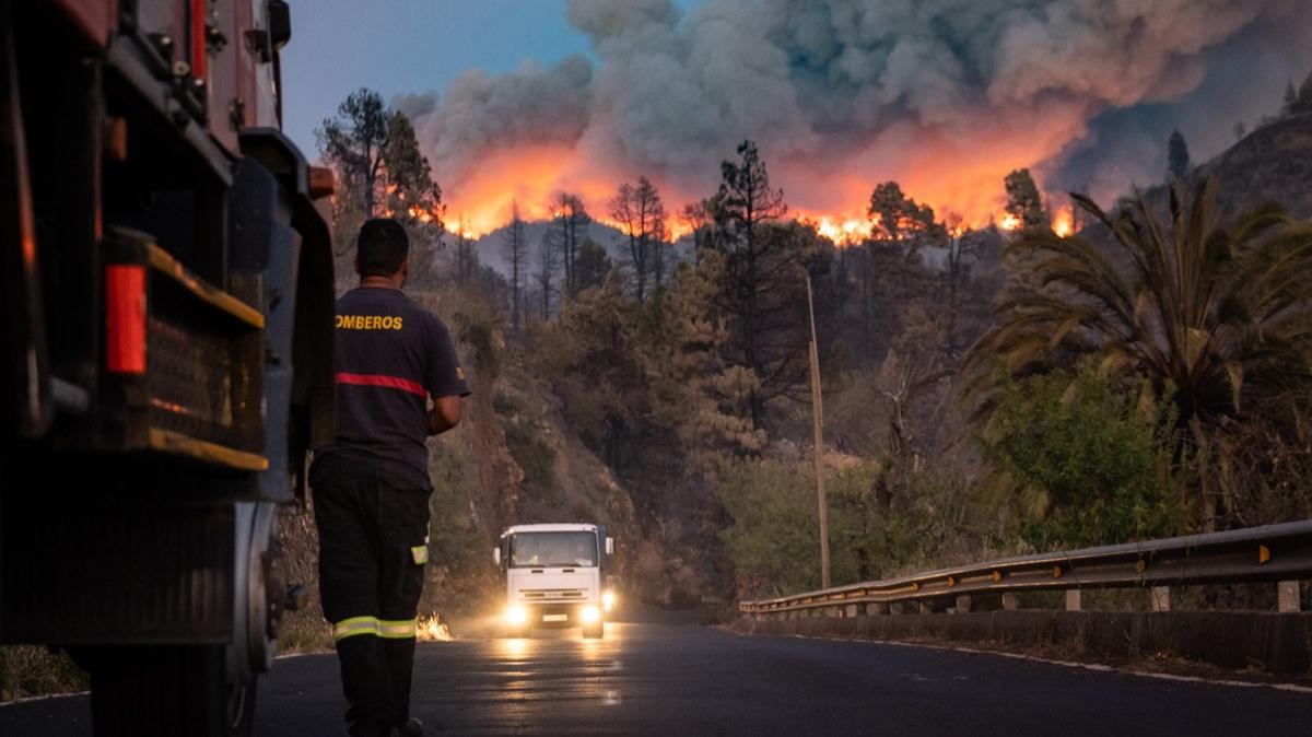La Palma Adas'nda orman yangn: 4 binden fazla kii tahliye edildi