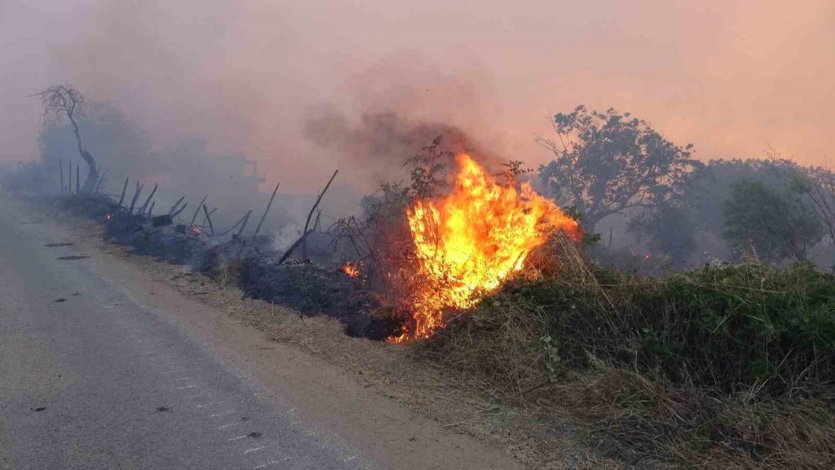 anakkale Valisi Akta: Yaral ve can kaybmz yok
