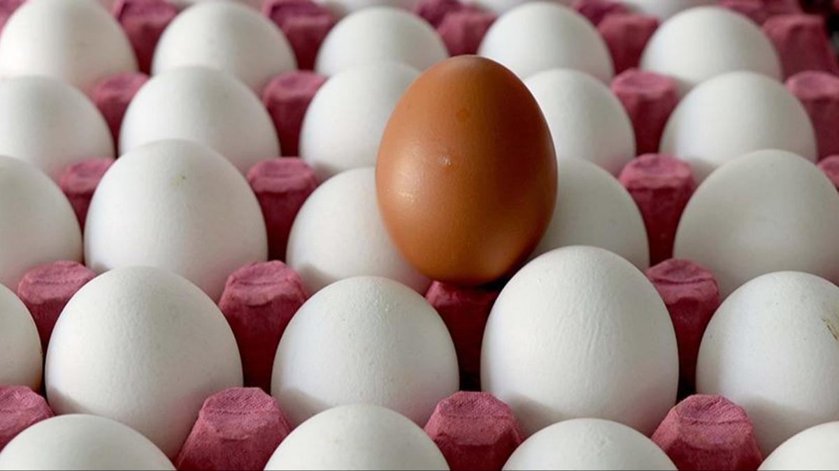 Tayvan'a gnderilen yumurtalara ilikin iddialarla ilgili inceleme balatld