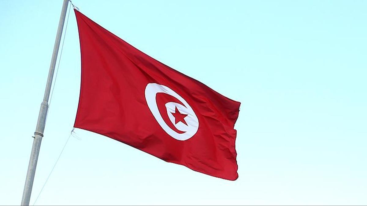 Dzensiz g konusunda Tunus Kzlayna destek talebi