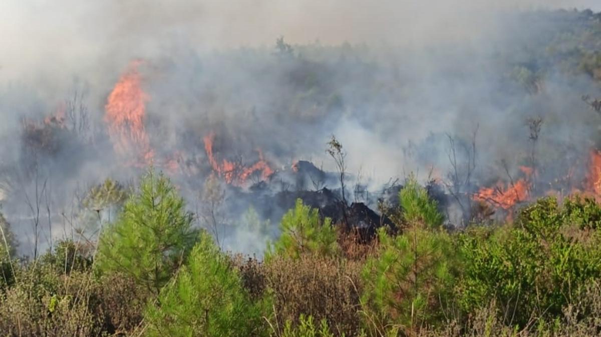 Hawaii'de devam eden orman yangnlarnda hayatn kaybedenlerin says artyor 