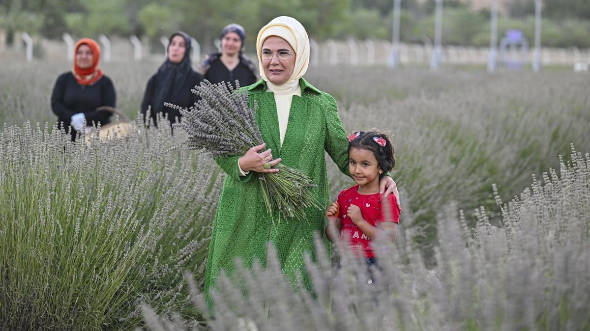 Lavanta hasad yapan Emine Erdoan ekolojik tarmn nemine dikkati ekti