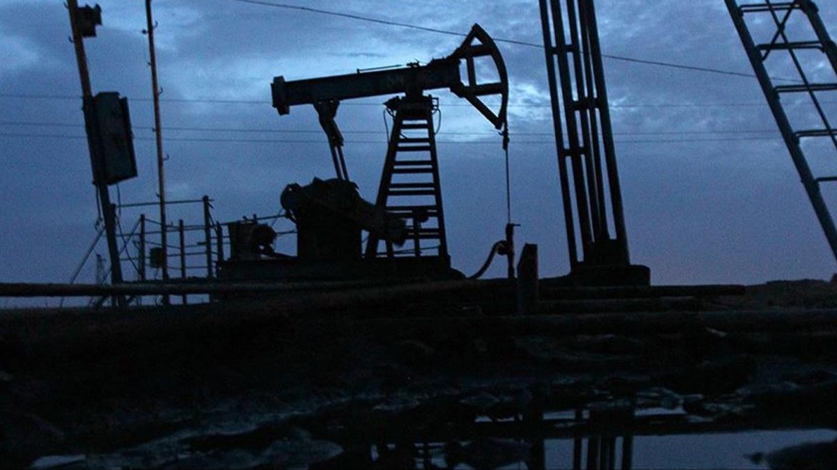 Nijerya'da ok sayda kaak petrol rafinerisi imha edildi