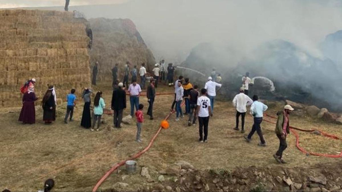 Erzurum'da binlerce balya ot kle dnd