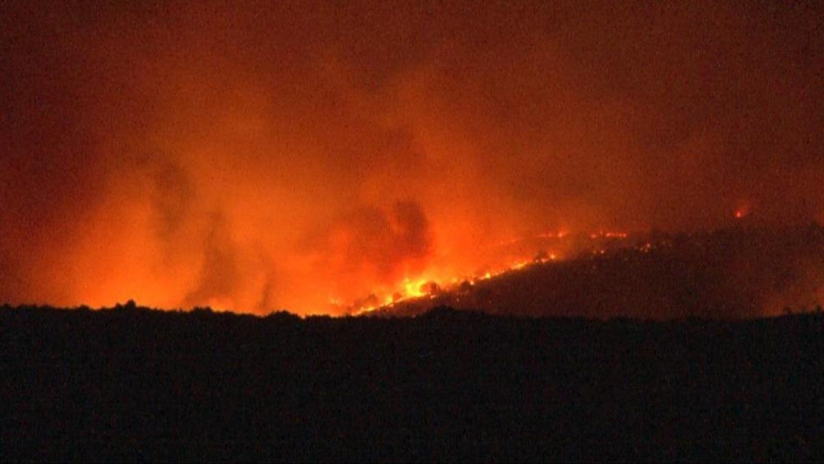 Bulgaristan'da orman yangn: Alevler Trkiye snrna dayand