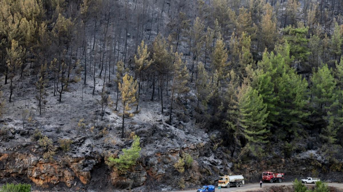 Bakan Yumakl duyurdu: Alanya'daki orman yangn kontrol altna alnd