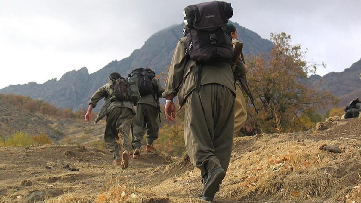 kna edilen PKK'l terrist teslim oldu