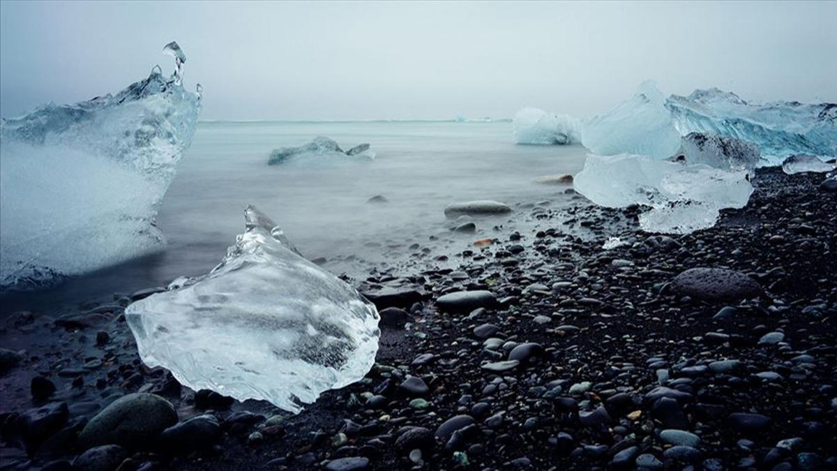 Avrupa'da en fazla buzula sahip svire'de 2 ylda yzde 10 azalma grld