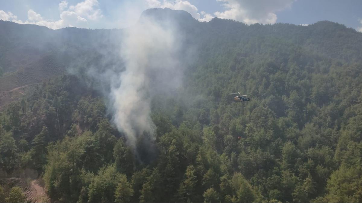 Adana'daki orman yangnlar kontrol altnda