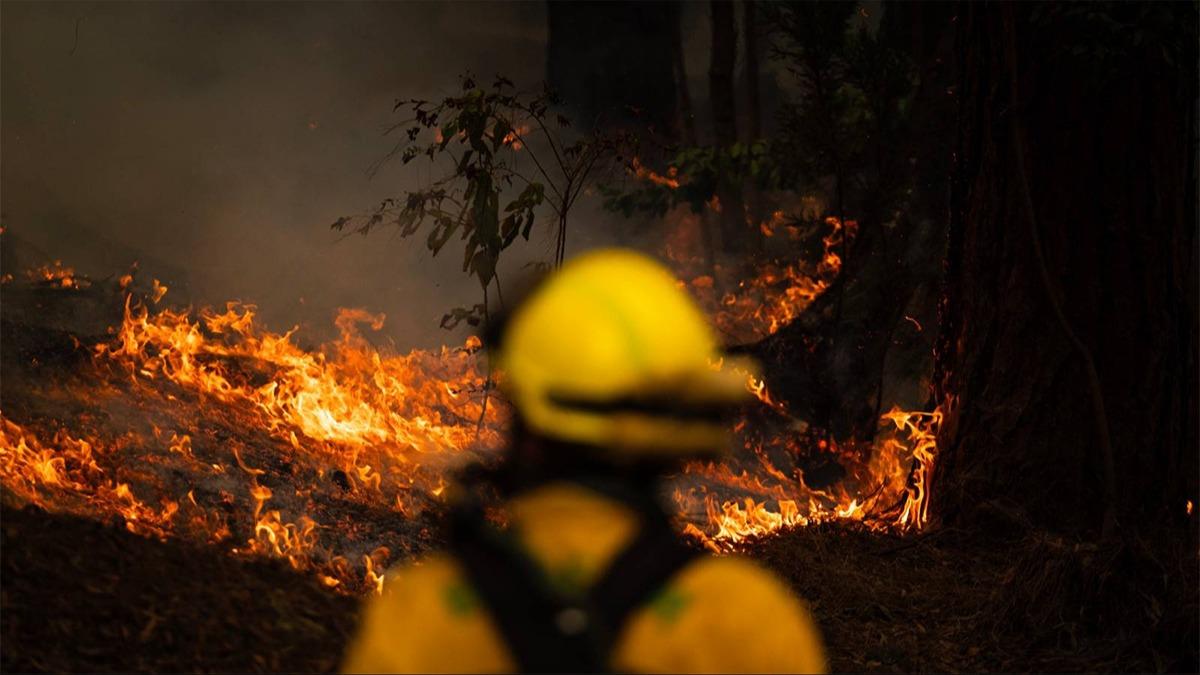 Kanarya Adalar'nda orman yangn: 3 binden fazla insan tahliye edildi