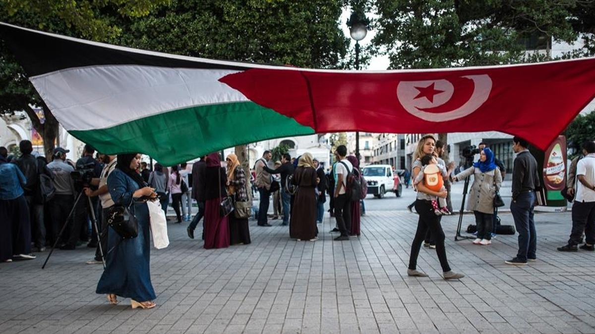 Tunus'tan Arap Birlii'nin Gazze kararna Filistin lehine erh 