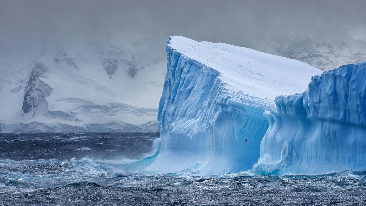 Dou Antarktika'da kefedildi! Tam 14 milyon yllk