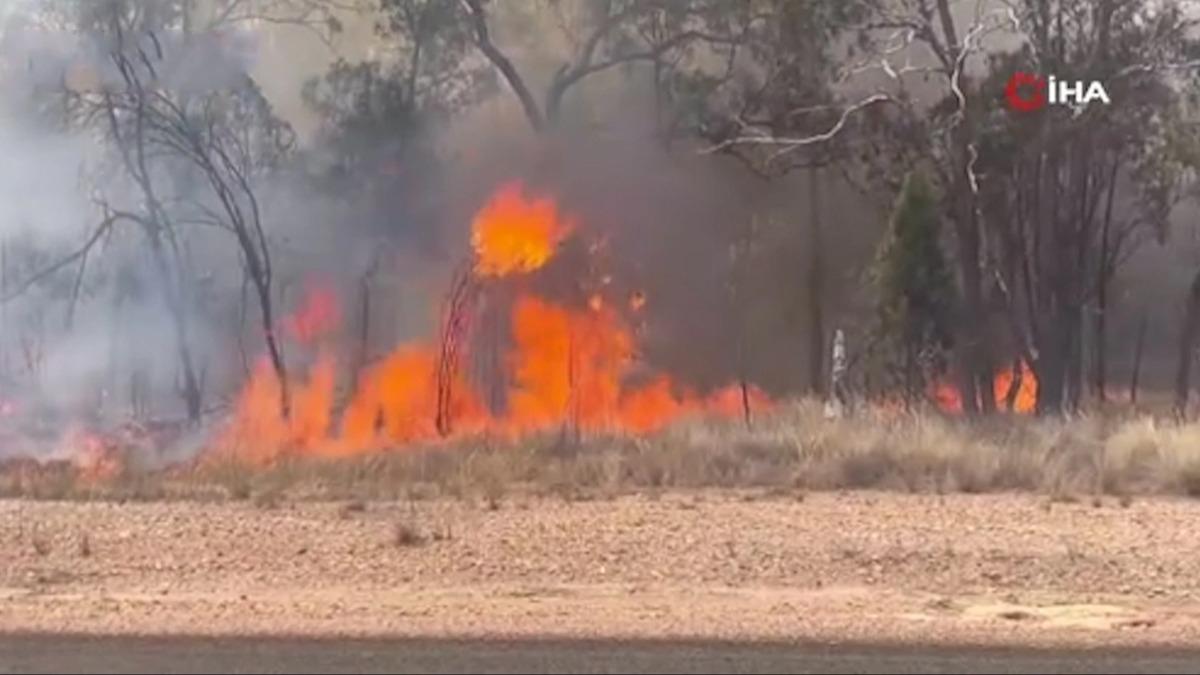 Avustralya 80 orman yangnyla mcadele ediyor