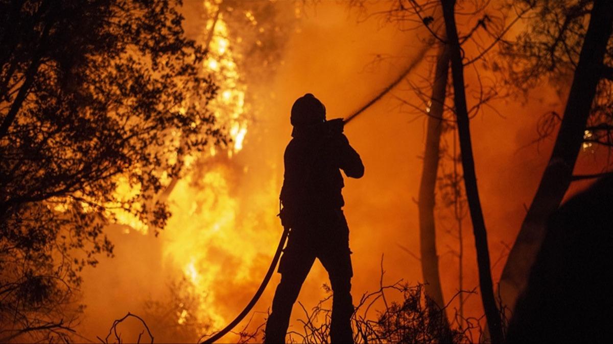 spanya'da orman yangn: 600'den fazla kii tahliye edildi