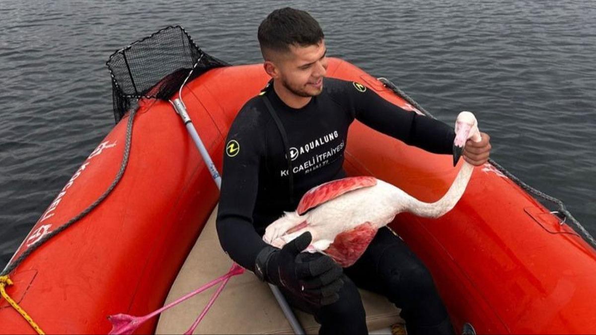 Mahsur kalan yaral flamingoyu itfaiye ekipleri kurtard