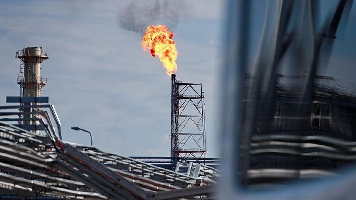 Rusya'da doal gaz ve petrol gelirleri dte