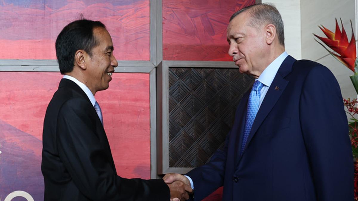 Başkan Erdoğan, Widodo ile görüştü