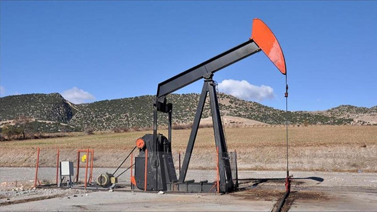 ABD'deki petrol sondaj kuleleri son bir ylda 119 azald