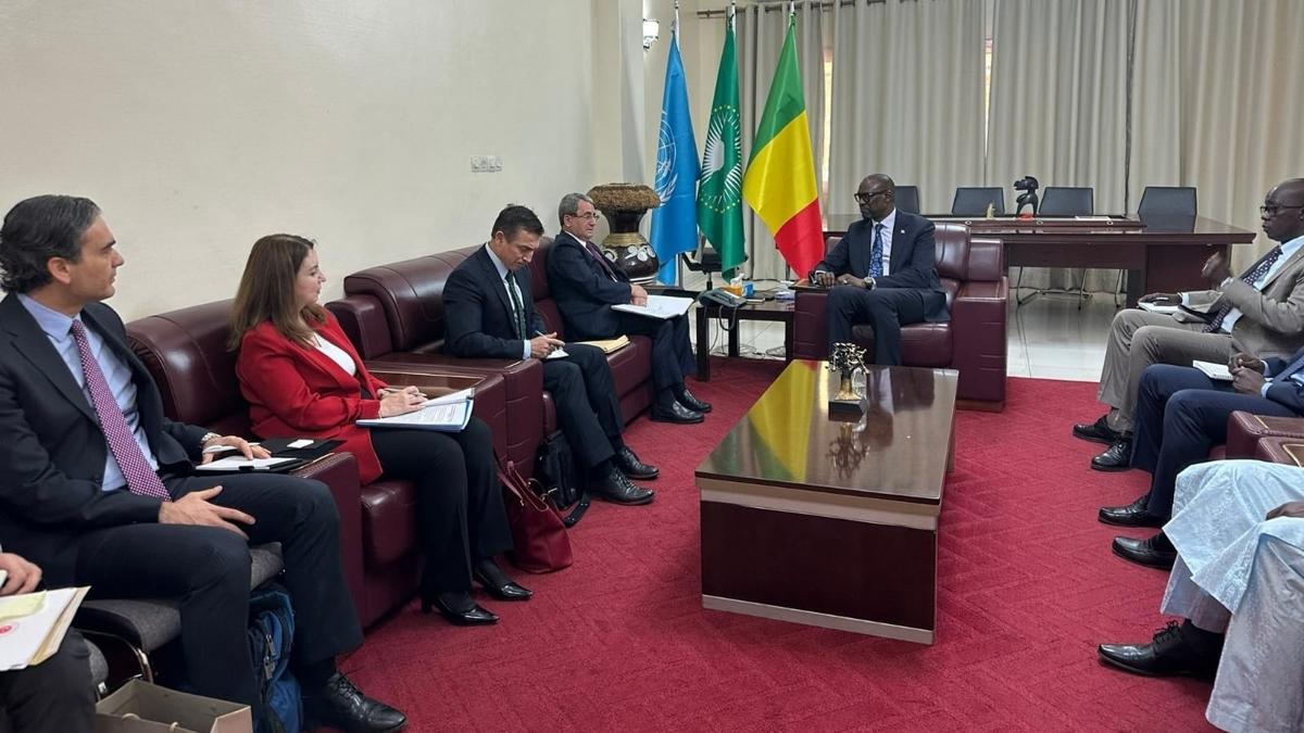 Bakan Yardmcs Yldz'dan Mali'de diplomatik temas