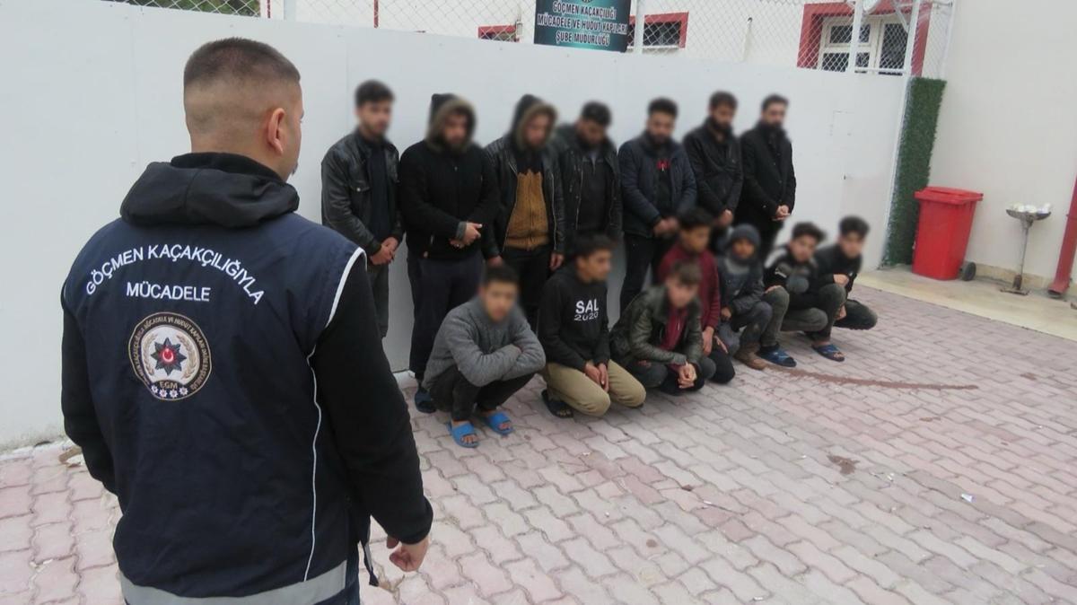 Edirne'de 15 dzensiz gmen yakaland