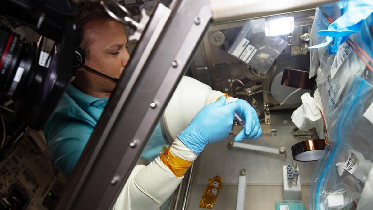 Trkiye'nin ilk astronotu Gezeravc denedi! CRISPR tekniiyle verimliliin artrlmas amalanyor