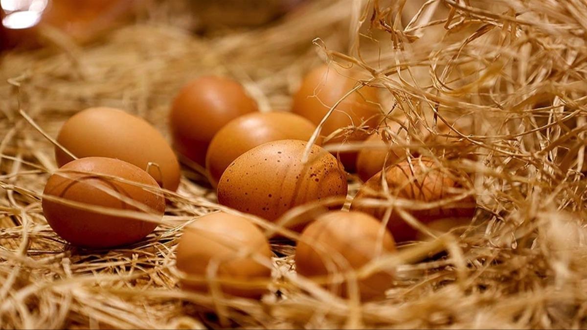 Tavuk yumurtas retimi yzde 6,3 art gsterdi