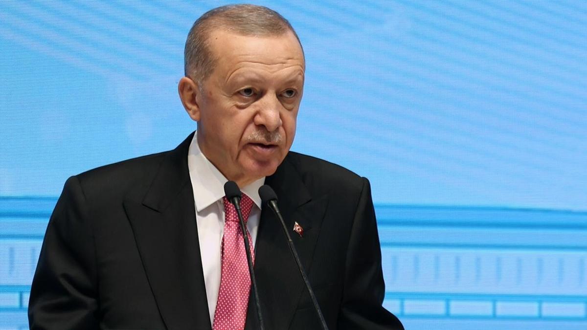 Cumhurbakan Erdoan: Dantay'n ald karara sessiz kalmamz mmkn deil