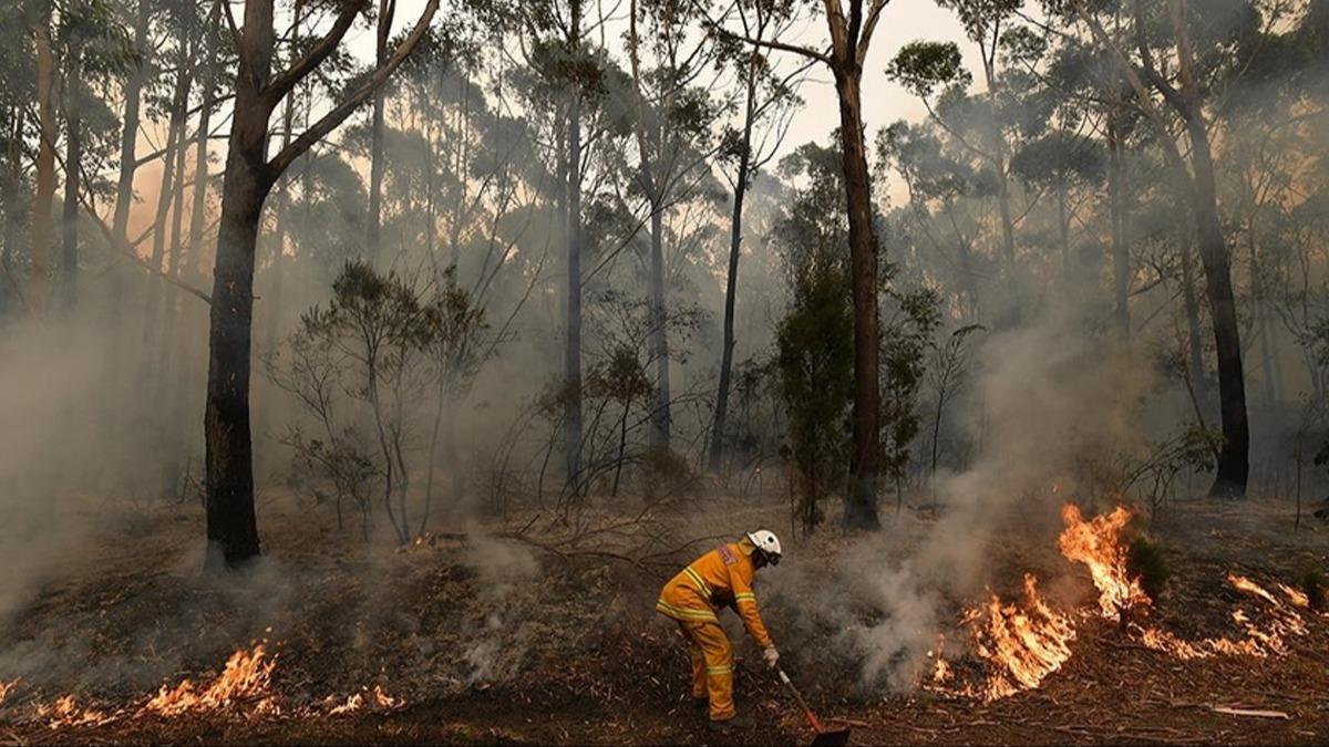 Avustralya'da orman yangn: 14 bin hektar alan kle dnd
