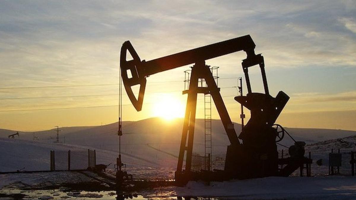 TPAO'dan Diyarbakr'da petrol kuyusunda yaanan kazaya ilikin aklama