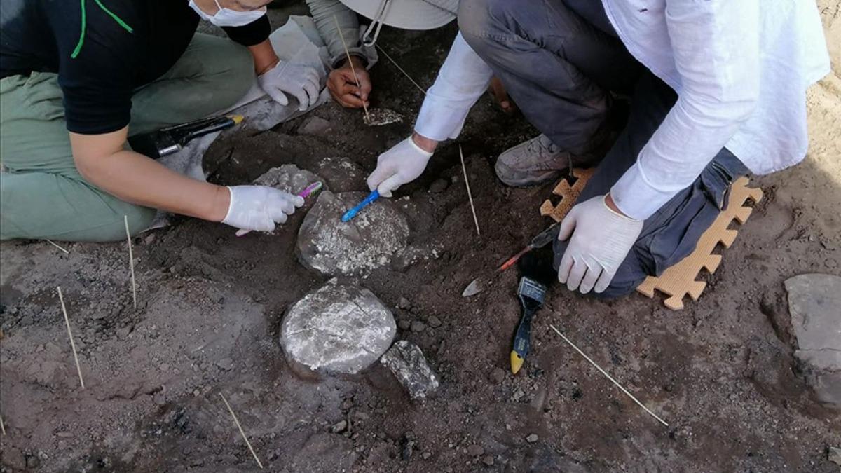 Panama'daki arkeolojik kazlarda 1300 yldan daha eski olduu tahmin edilen bir mezar tespit edildi 