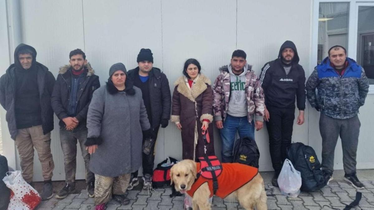 Edirne'de 8 dzensiz gmen yakaland