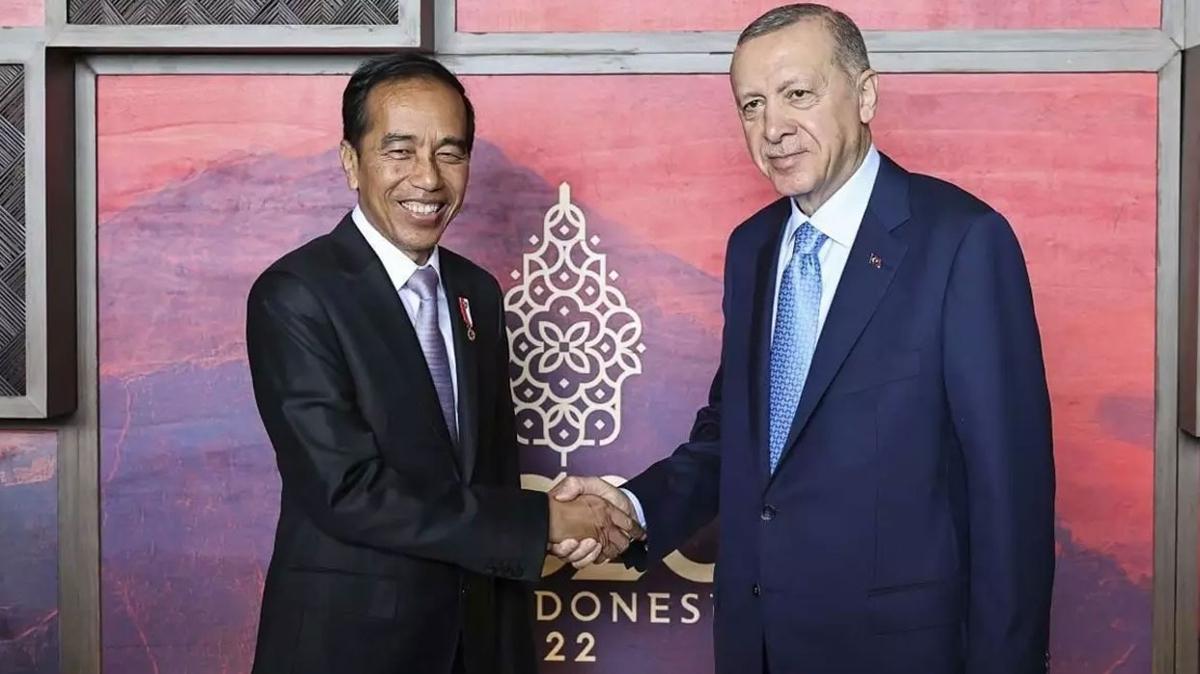 Cumhurbakan Erdoan, Endonezya Devlet Bakan Widodo ile grt