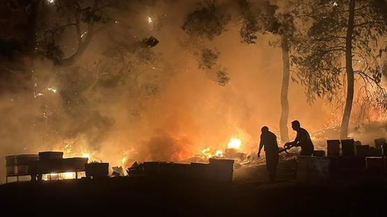 Antalya'da otluk alanda yangn: 150 ar kovan zarar grd