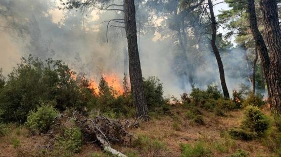 anakkale Valilii, vatandalar orman yangnlarna kar dikkatli olmas konusunda uyard