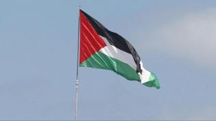 Filistin'in BM yeliinin veto edilmesini baz lkeler zntyle karlad
