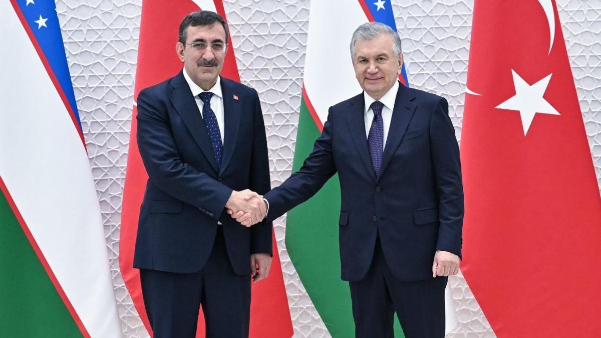 Cumhurbakan Yardmcs Ylmaz, Mirziyoyev ile grt