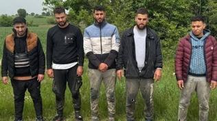Edirne'de 5 dzensiz gmen yakaland