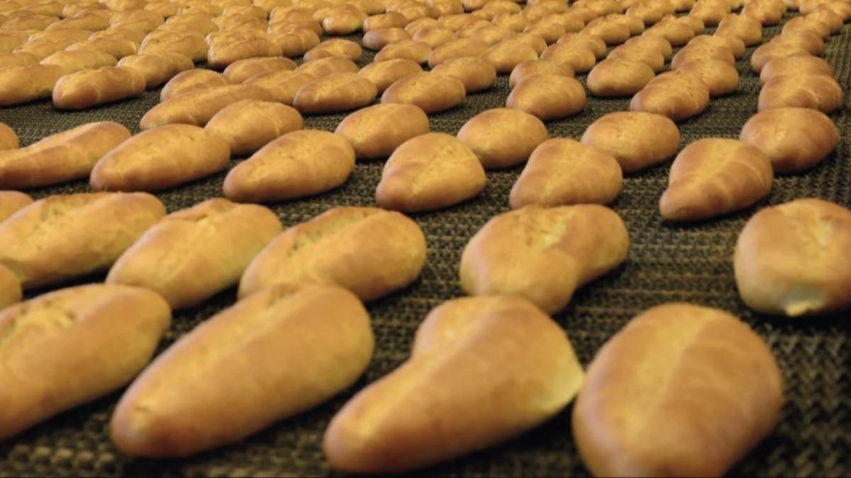 Yzde 60 baar saland! Trkiye'de gnlk 8 milyon ekmein israf nlendi