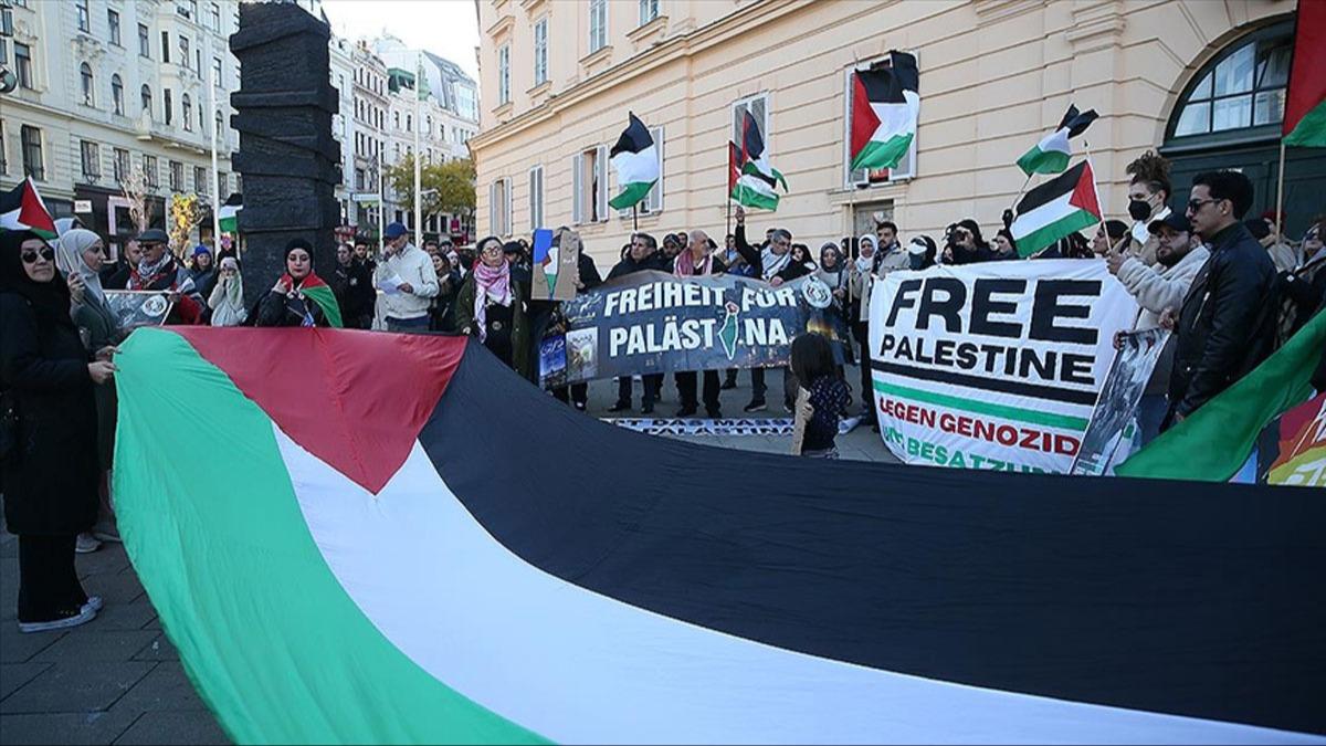Avusturyal aktiviste, Filistin destekisi olduu gerekesiyle 6 ay 'artl' hapis cezas verildi 
