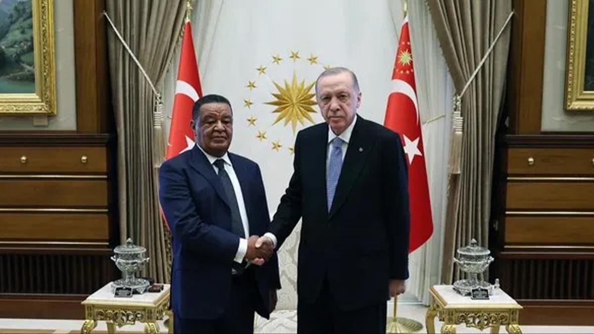 Cumhurbakan Erdoan, eski Etiyopya Cumhurbakan Wirtu'yu kabul etti